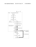 MICROORGANISM PRODUCING O-PHOSPHOSERINE AND METHOD OF PRODUCING L-CYSTEINE     OR DERIVATIVES THEREOF FROM O-PHOSPHOSERINE USING THE SAME diagram and image