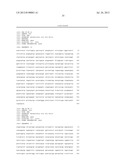 MICROORGANISM PRODUCING O-PHOSPHOSERINE AND METHOD OF PRODUCING L-CYSTEINE     OR DERIVATIVES THEREOF FROM O-PHOSPHOSERINE USING THE SAME diagram and image