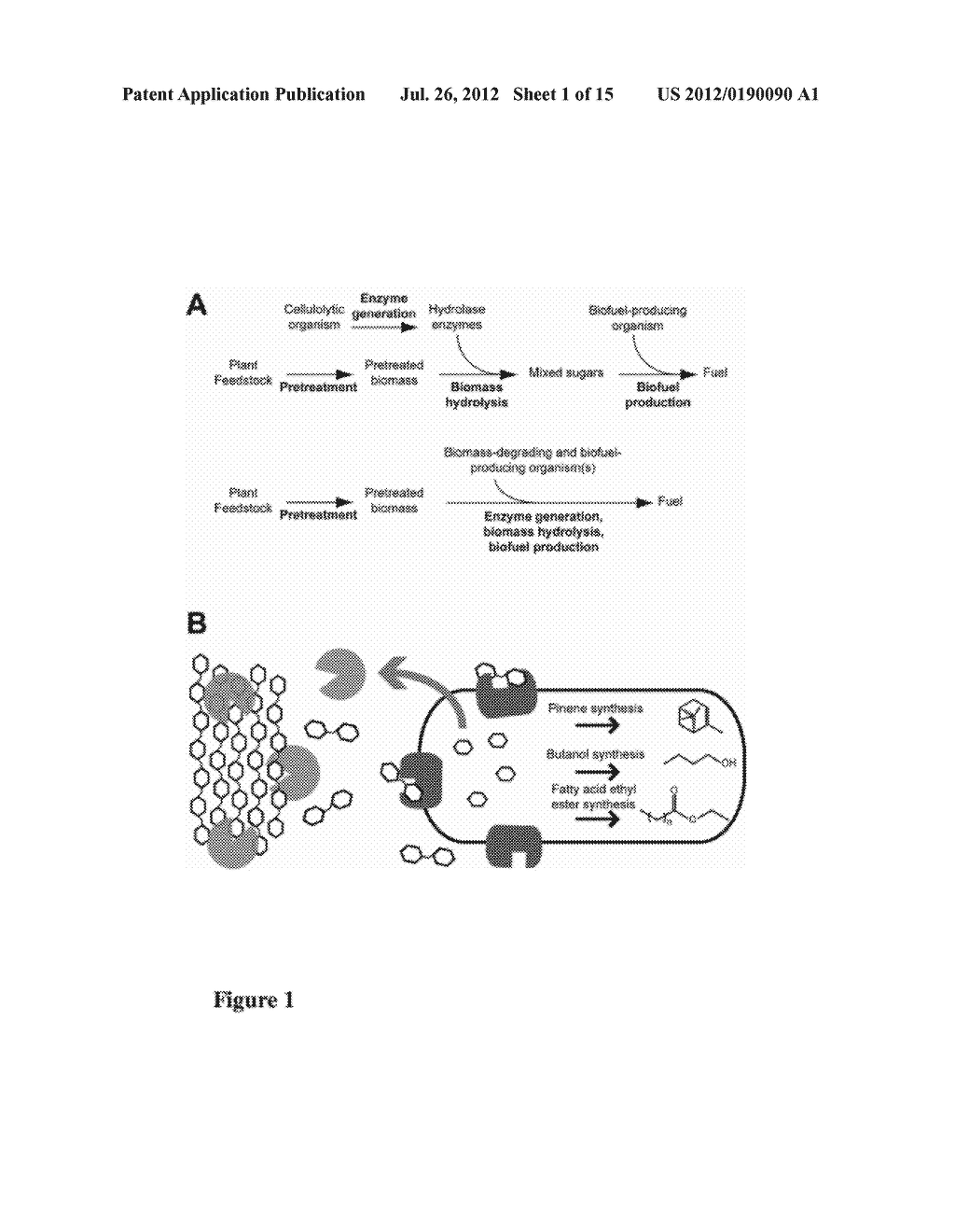 MICROBIAL CONVERSION OF PLANT BIOMASS TO ADVANCED BIOFUELS - diagram, schematic, and image 02