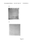 PROTEIN DETECTION REAGENTS AND METHODS WITH DYES AND DEXTRINS diagram and image