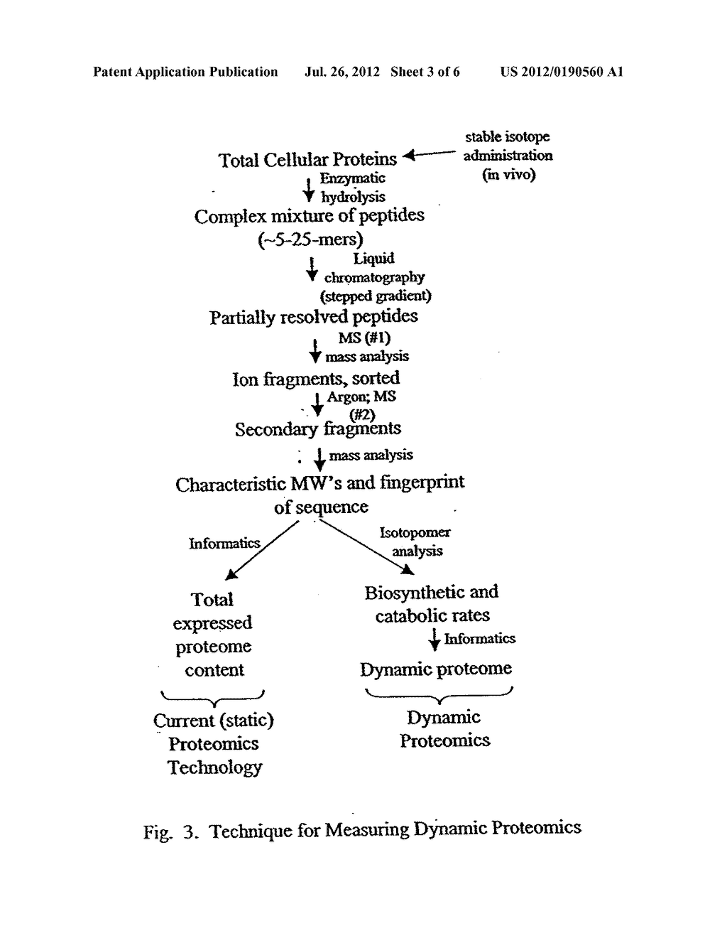 METHOD FOR AUTOMATED, LARGE-SCALE MEASUREMENT OF THE MOLECULAR FLUX RATES     OF THE PROTEOME OR THE ORGANEOME USING MASS SPECTROMETRY - diagram, schematic, and image 04