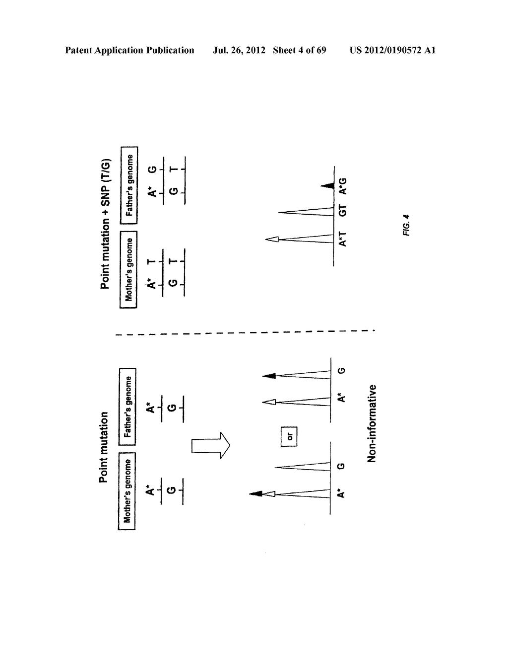 DETECTING GENETIC ABNORMALITIES - diagram, schematic, and image 05