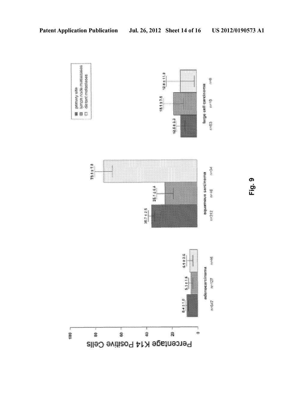 BIOMARKER OF LUNG CANCER - diagram, schematic, and image 15