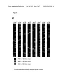 Detection of Auto-Antibodies to Specific Glycans as Diagnostic Tests for     Autoimmune Diseases diagram and image