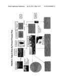 ENVIRONMENTALLY-FRIENDLY KELP-BASED ENERGY SAVING LUBRICANTS, BIOFUELS,     AND OTHER INDUSTRIAL PRODUCTS diagram and image