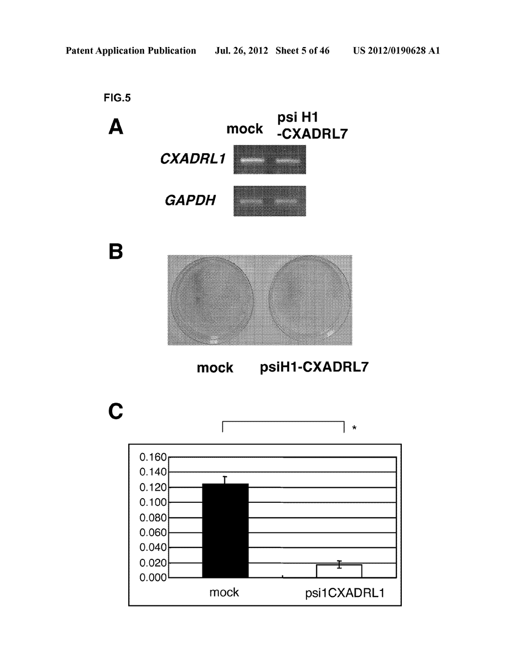 GENES AND POLYPEPTIDES RELATING TO HUMAN COLON CANCERS - diagram, schematic, and image 06