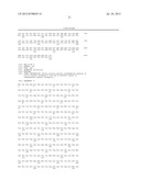 LIGHT-RECEIVING CHANNEL RHODOPSIN HAVING IMPROVED EXPRESSION EFFICIENCY diagram and image