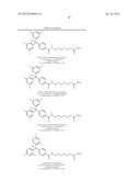 Reverse Amide Compounds As Protein Deacetylase Inhibitors And Methods Of     Use Thereof diagram and image