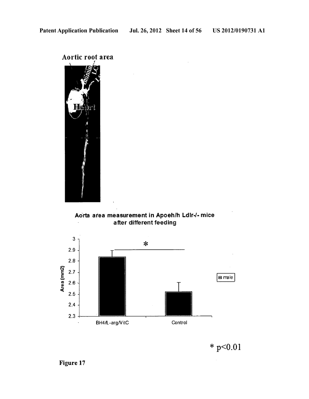 METHODS AND COMPOSITIONS TO REDUCE OXIDATIVE STRESS - diagram, schematic, and image 15