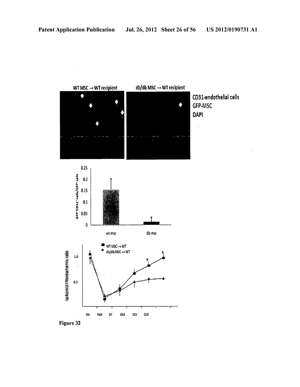 METHODS AND COMPOSITIONS TO REDUCE OXIDATIVE STRESS - diagram, schematic, and image 27