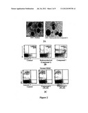 INHIBITORS OF PHOSPHATIDYLINOSITOL-3-KINASE (PI3) AND INDUCERS OF NITRIC     OXIDE (NO) diagram and image