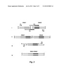 ARTIFICIAL ENTROPIC BRISTLE DOMAIN SEQUENCES AND THEIR USE IN RECOMBINANT     PROTEIN PRODUCTION diagram and image