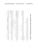 ARTIFICIAL ENTROPIC BRISTLE DOMAIN SEQUENCES AND THEIR USE IN RECOMBINANT     PROTEIN PRODUCTION diagram and image