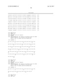 ARTIFICIAL ENTROPIC BRISTLE DOMAIN SEQUENCES AND THEIR USE IN RECOMBINANT     PROTEIN PRODUCTION diagram and image