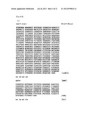 METHOD FOR HIGHLY SENSITIVE DETECTION OF PROTEIN-PROTEIN INTERACTION diagram and image