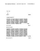 METHOD FOR HIGHLY SENSITIVE DETECTION OF PROTEIN-PROTEIN INTERACTION diagram and image