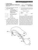 ARTICULATE AND SWAPABLE ENDOSCOPE FOR A SURGICAL ROBOT diagram and image