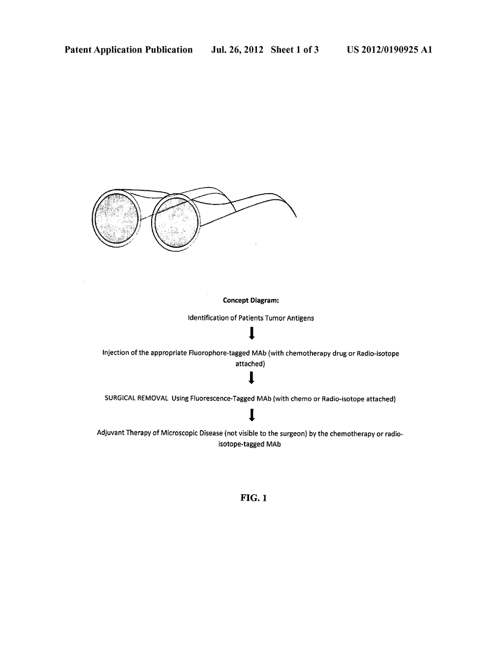 METHOD FOR COMBINED IMAGING AND TREATING ORGANS AND TISSUES - diagram, schematic, and image 02