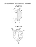 Probe, Diagnosis Device, and Method for Using the Diagnosis Device diagram and image