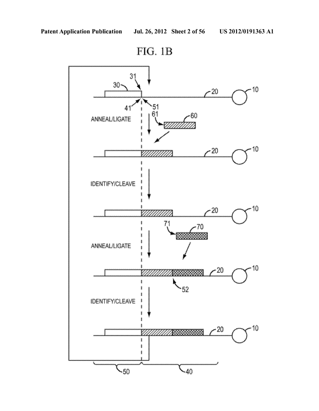 Reagents, Methods, and Libraries for Bead-Based Sequencing - diagram, schematic, and image 03