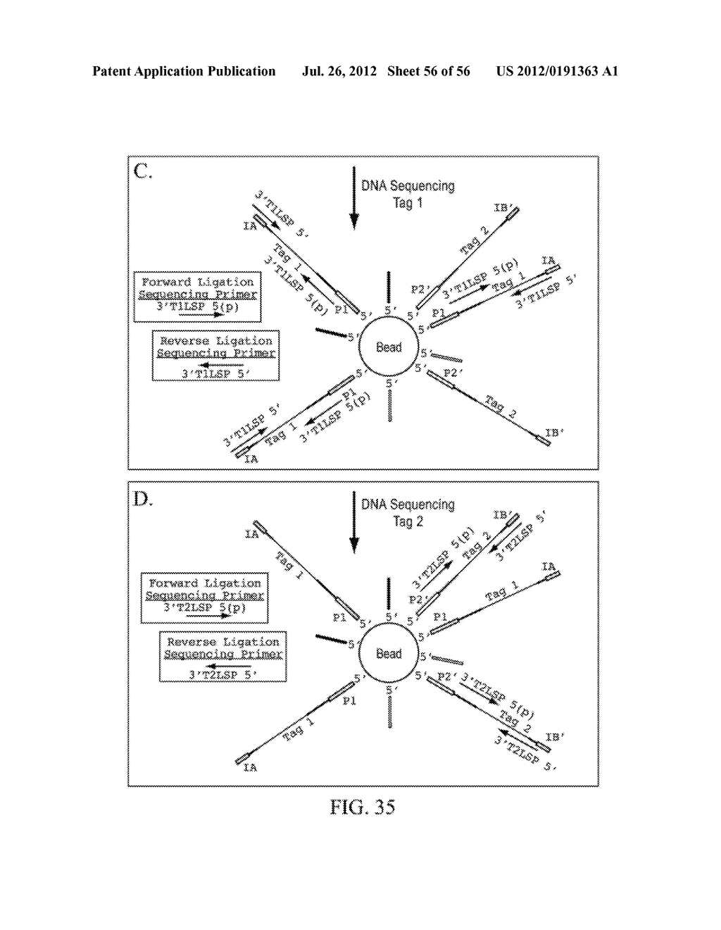 Reagents, Methods, and Libraries for Bead-Based Sequencing - diagram, schematic, and image 57