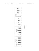 ARTICLES OF MANUFACTURE AND METHODS FOR MODELING CHINESE HAMSTER OVARY     (CHO) CELL METABOLISM diagram and image