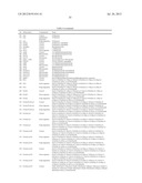 ARTICLES OF MANUFACTURE AND METHODS FOR MODELING CHINESE HAMSTER OVARY     (CHO) CELL METABOLISM diagram and image