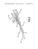 ILLUMINANT SHOE diagram and image