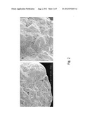 FERTILIZER COMPOSITION AND METHOD diagram and image