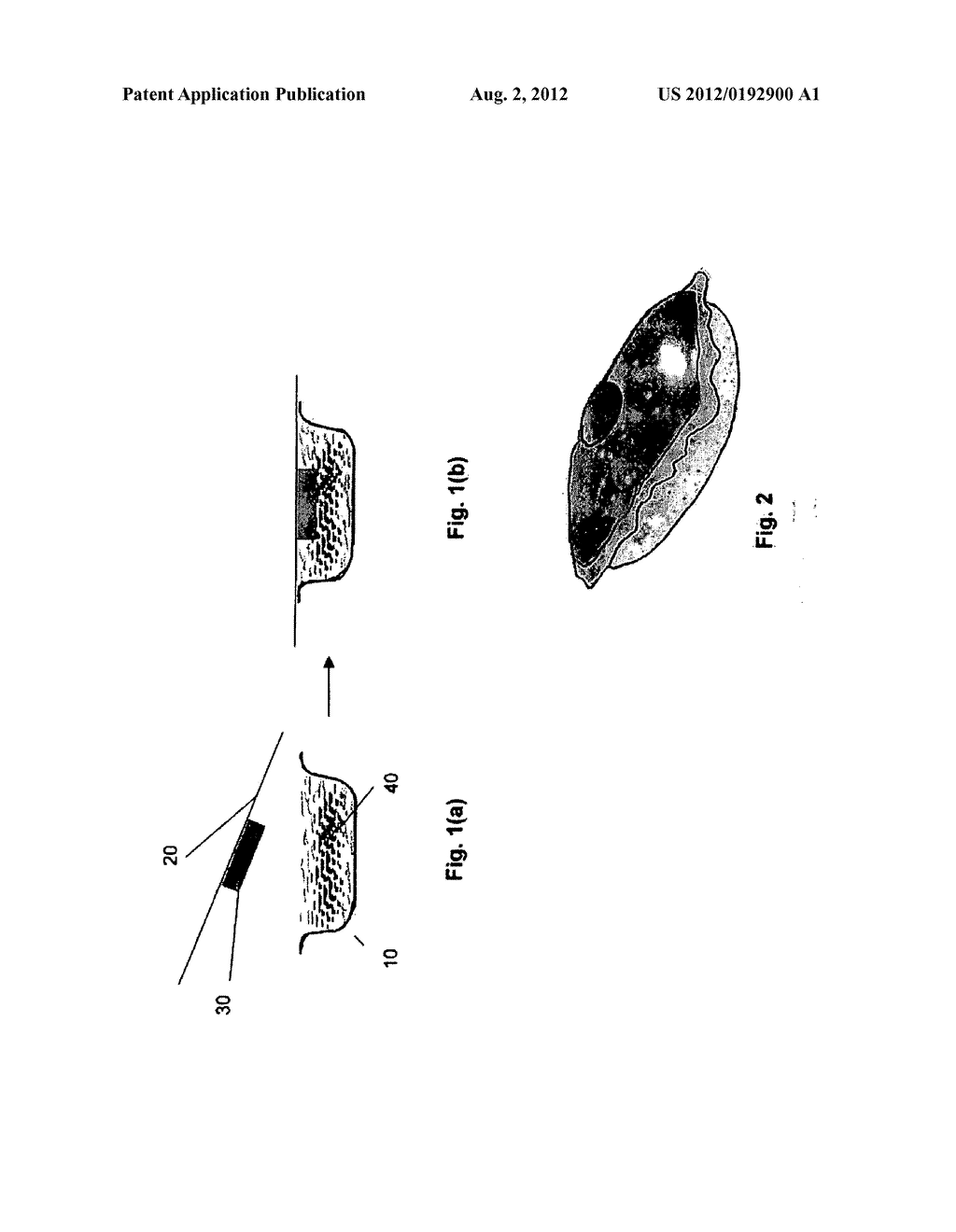 Dosage element and a method of manufacturing a dosage element - diagram, schematic, and image 02