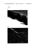 Carbonaceous Nanocomposite Having Novel Structure And Fabrication Method     Thereof diagram and image