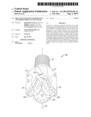 DRILL BIT WITH ENHANCED HYDRAULICS AND EROSION-SHIELD CUTTING TEETH diagram and image