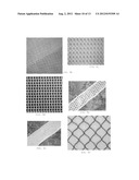 FLEXIBLE MOUNTING SYSTEM FOR ELECTRONIC DEVICES diagram and image