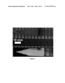 Novel Lanthanide Doped Strontium-Barium Cesium Halide Scintillators diagram and image