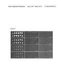 NEAR INFRARED DOPED PHOSPHORS HAVING A ZINC, GERMANIUM, GALLATE MATRIX diagram and image