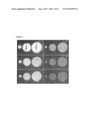 NEAR INFRARED DOPED PHOSPHORS HAVING A ZINC, GERMANIUM, GALLATE MATRIX diagram and image