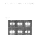 NEAR INFRARED DOPED PHOSPHORS HAVING A ZINC, GERMANIUM, GALLATE MATRIX diagram and image