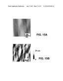 METHOD FOR HETEROEPITAXIAL GROWTH OF HIGH-QUALITY N-FACE GaN, InN, AND AIN     AND THEIR ALLOYS BY METAL ORGANIC CHEMICAL VAPOR DEPOSITION diagram and image