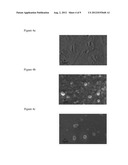 CRYSTALLINE ALUMINUM CARBIDE THIN FILM, SEMICONDUCTOR SUBSTRATE HAVING THE     ALUMINUM CARBIDE THIN FILM FORMED THEREON AND METHOD OF FABRICATING THE     SAME diagram and image