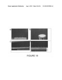 Electrospinning Process for Manufacture of Multi-Layered Structures diagram and image