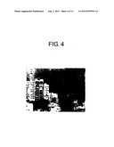 Method of Generating Corrected Image Data and Display Apparatus diagram and image