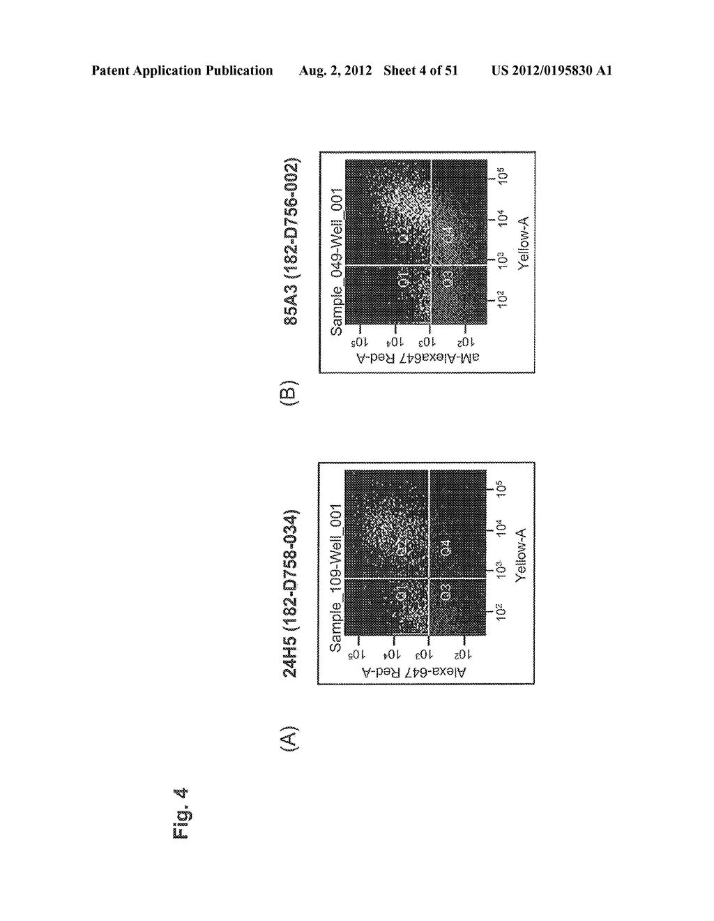 Monoclonal Antibodies Against Claudin-18 For Treatment of Cancer - diagram, schematic, and image 05