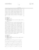 Monoclonal Antibodies Against Claudin-18 For Treatment of Cancer diagram and image