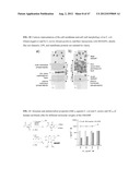 ANTIMICROBIAL POLYMERS diagram and image