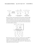 ANTIMICROBIAL POLYMERS diagram and image