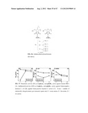 ANTIMICROBIAL POLYMERS diagram and image