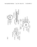 MODIFIED SOLUBLE FGF RECEPTOR FC FUSIONS WITH IMPROVED BIOLOGICAL ACTIVITY diagram and image