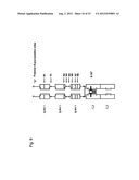 MODIFIED SOLUBLE FGF RECEPTOR FC FUSIONS WITH IMPROVED BIOLOGICAL ACTIVITY diagram and image