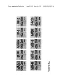 METHODS FOR UP-REGULATING ANTIGEN EXPRESSION IN TUMORS diagram and image