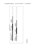 METHODS FOR UP-REGULATING ANTIGEN EXPRESSION IN TUMORS diagram and image